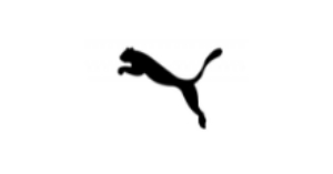 5% discount on Puma with Visa Credit Cards